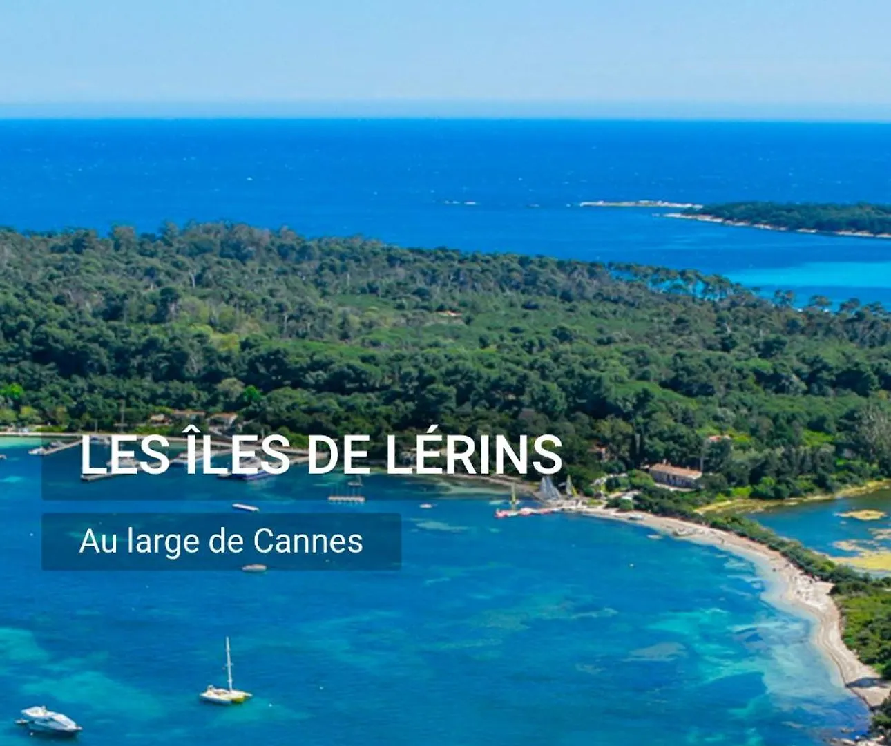 Apartment Studio Super Cannes Residence 